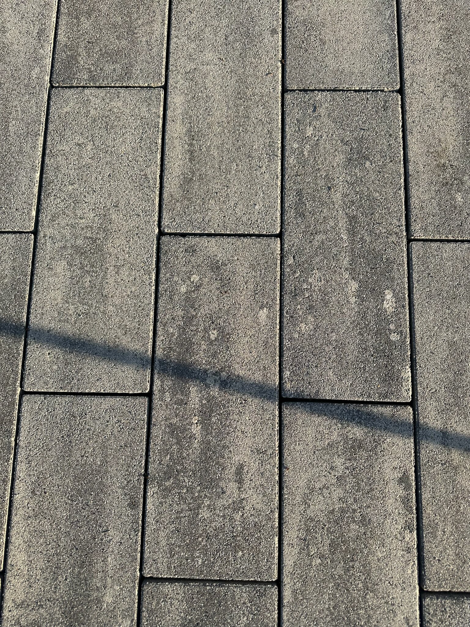 Tlakovci po čiščenju