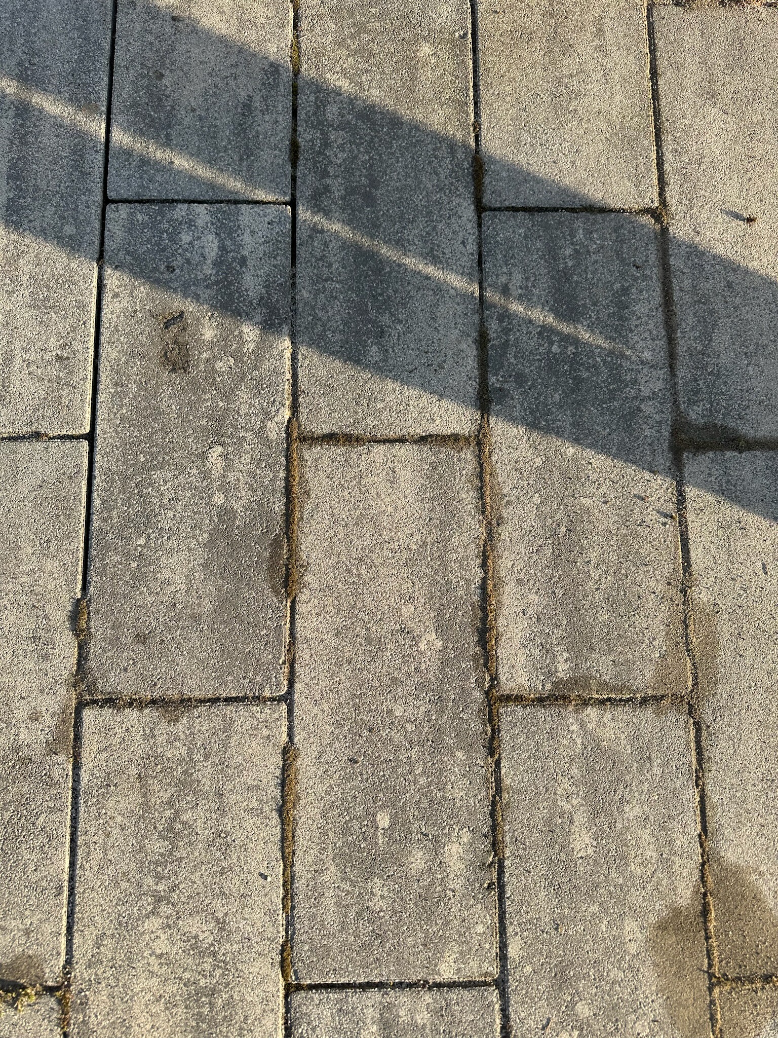 Tlakovci pred čiščenjem